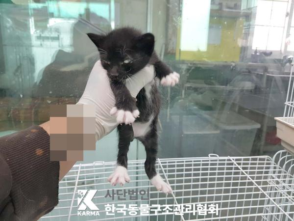 한국동물구조관리협회_441382202500200